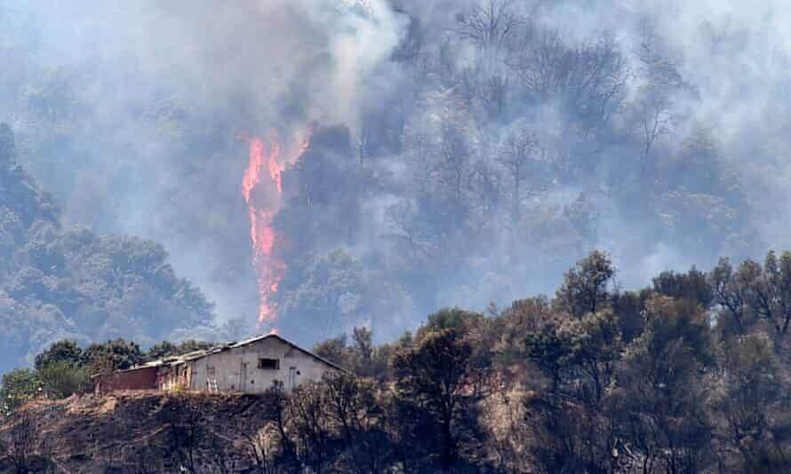 अल्जीरिया ने मोरक्को और इज़रायल से जुड़े समूहों पर जंगल में आग लगाने का आरोप लगाया